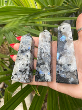 Load image into Gallery viewer, Polished Points | Rainbow Moonstone