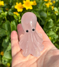 Load image into Gallery viewer, Octopus | 6cm