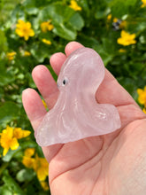 Load image into Gallery viewer, Octopus | 6cm