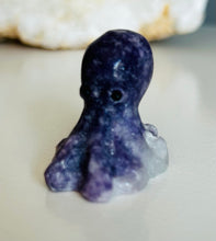 Load image into Gallery viewer, Octopus | Small