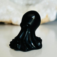 Load image into Gallery viewer, Octopus | Small