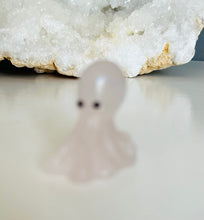 Load image into Gallery viewer, Octopus | Small