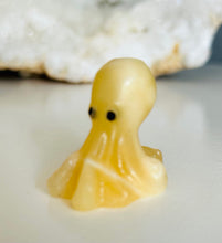 Load image into Gallery viewer, Octopus | Small
