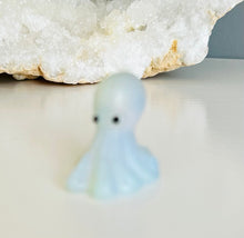 Load image into Gallery viewer, Octopus | Small