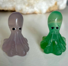 Load image into Gallery viewer, Octopus | Small