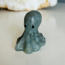 Load image into Gallery viewer, Octopus | Small