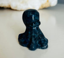 Load image into Gallery viewer, Octopus | Small