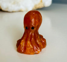Load image into Gallery viewer, Octopus | Small