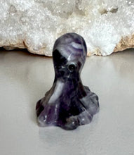 Load image into Gallery viewer, Octopus | Small