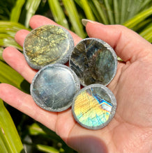 Load image into Gallery viewer, Dragon/Emma Eggs | Labradorite