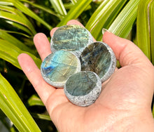 Load image into Gallery viewer, Dragon/Emma Eggs | Labradorite