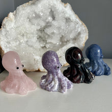 Load image into Gallery viewer, Octopus | 6cm