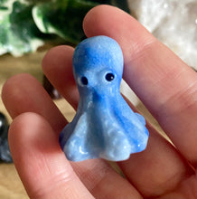 Load image into Gallery viewer, Octopus | Small