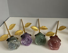Load image into Gallery viewer, Roses | Gold Stem