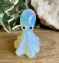 Load image into Gallery viewer, Octopus | 6cm