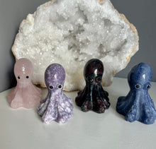 Load image into Gallery viewer, Octopus | 6cm