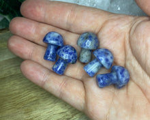 Load image into Gallery viewer, Mini Crystal Mushrooms