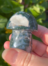 Load image into Gallery viewer, Large Mushrooms | Moss Agate