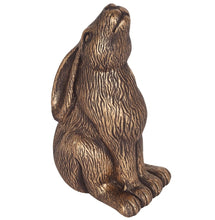 Load image into Gallery viewer, Large Terracotta Moon Gazing Hare | Bronze