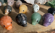 Load image into Gallery viewer, Hedgehogs | Small