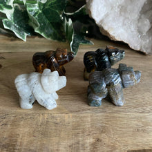 Load image into Gallery viewer, Bears | Small