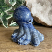 Load image into Gallery viewer, Octopus | 6cm