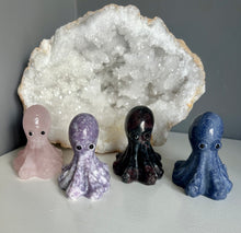 Load image into Gallery viewer, Octopus | 6cm