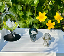 Load image into Gallery viewer, Large Mushrooms | Moss Agate