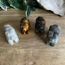 Load image into Gallery viewer, Bears | Small