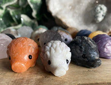 Load image into Gallery viewer, Hedgehogs | Small