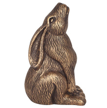 Load image into Gallery viewer, Large Terracotta Moon Gazing Hare | Bronze
