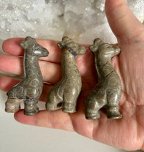 Load image into Gallery viewer, Giraffes | Septarian