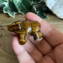 Load image into Gallery viewer, Bears | Small