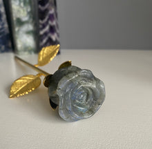 Load image into Gallery viewer, Roses | Gold Stem