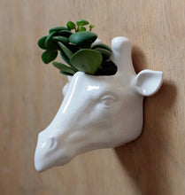 Load image into Gallery viewer, Planter | Giraffe Head