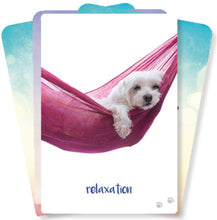 Load image into Gallery viewer, Affirmation Cards | Dog Wisdom