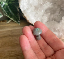 Load image into Gallery viewer, Mini Crystal Mushrooms