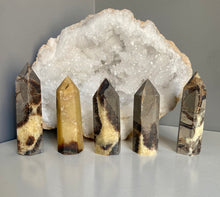Load image into Gallery viewer, Polished Points | Septarian