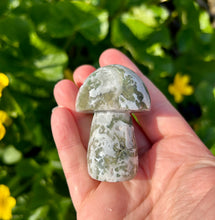Load image into Gallery viewer, Large Mushrooms | Moss Agate