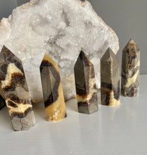 Load image into Gallery viewer, Polished Points | Septarian
