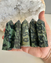 Load image into Gallery viewer, Polished Points | Kambaba Jasper
