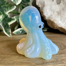 Load image into Gallery viewer, Octopus | 6cm
