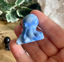 Load image into Gallery viewer, Octopus | Small