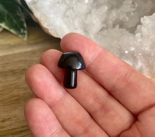 Load image into Gallery viewer, Mini Crystal Mushrooms