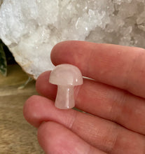 Load image into Gallery viewer, Mini Crystal Mushrooms