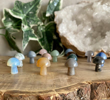 Load image into Gallery viewer, Mini Crystal Mushrooms