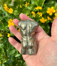 Load image into Gallery viewer, Male Body | Adonis
