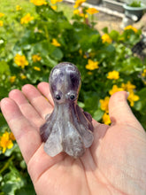Load image into Gallery viewer, Octopus | 6cm
