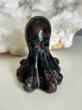 Load image into Gallery viewer, Octopus | 6cm
