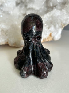 Octopus | 6cm